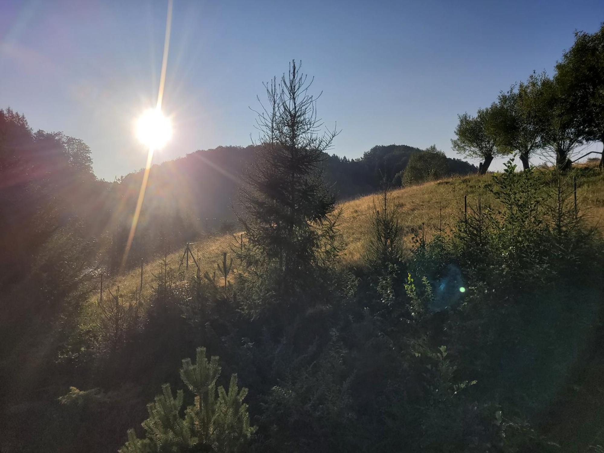 Forest Camp Dom W Gorach Sowich Michalkowa Dış mekan fotoğraf