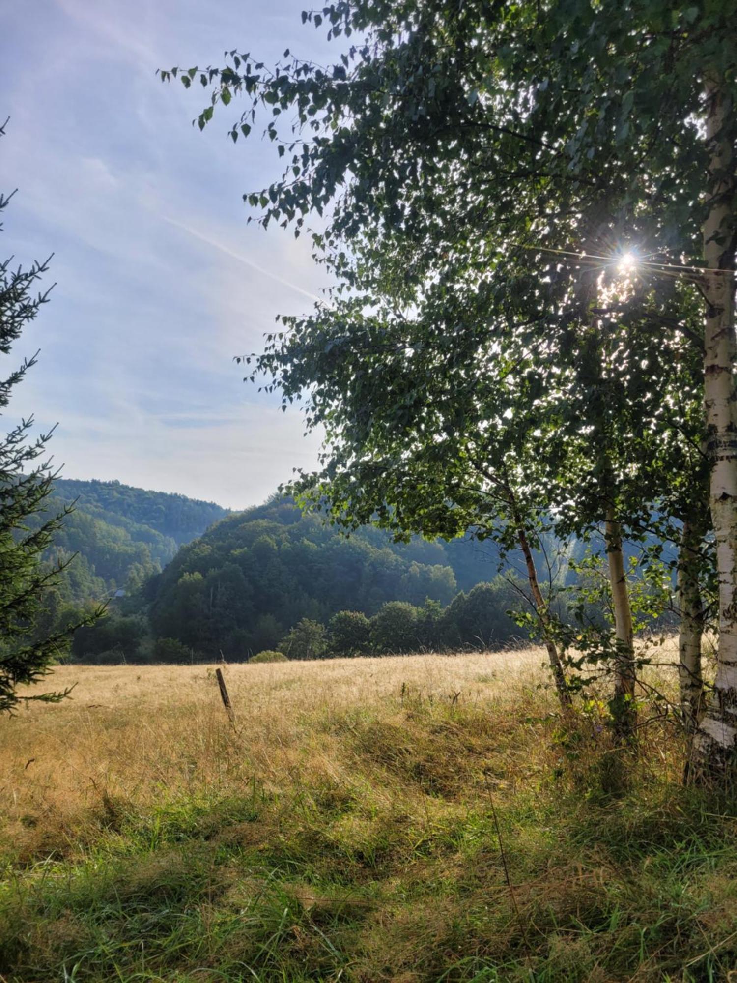 Forest Camp Dom W Gorach Sowich Michalkowa Dış mekan fotoğraf